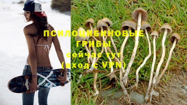 Альфа ПВП Зеленокумск