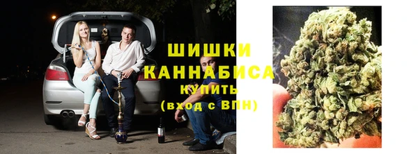 шишки Богданович